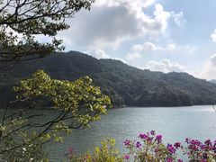 -广州市石门国家森林公园