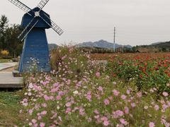 -西海岸生态观光园
