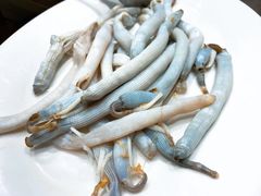 -凯华海鲜火锅·传承三十六年