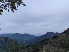 -大岭沟猕猴桃谷风景区