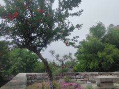 -天朝元辅-徐州民俗博物馆