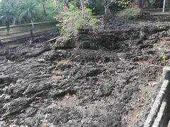 -海口火山口国家地质公园