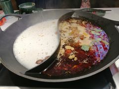 -新辣道鱼火锅(龙旗广场店)