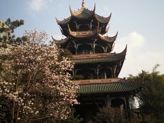 -望江楼公园