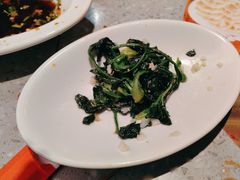 -老碗会·陕西手工面(燕南路店)