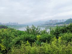 -金海湾滨江公园