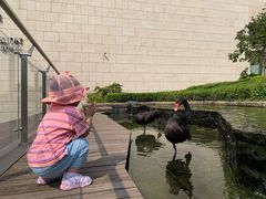 -行者书屋大堂吧 ·下午茶(南京圣和府邸酒店)