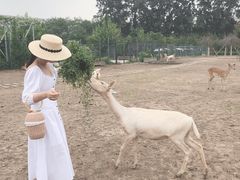 -北京麋鹿生态实验中心