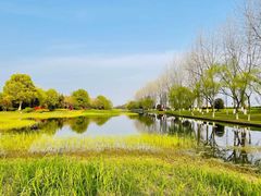 -贡湖湾湿地公园