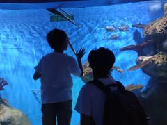 -多彩贵州城极地海洋世界