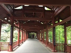 -重庆彩云湖湿地公园