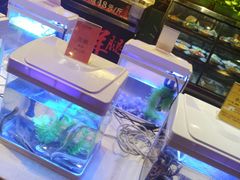 -花家怡园(四合院总店)