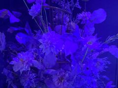 -方糖KTV-PLUS(世茂广场店)