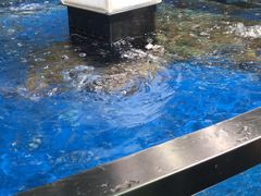 -盒马鲜生(莱蒙都会店)