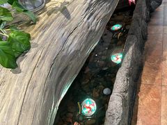 -老湘亲·品鉴湘菜(湖里店)