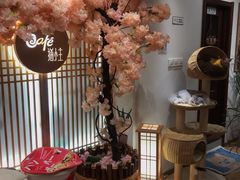 -猫小主咖啡·猫咖cat cafe(福田店)