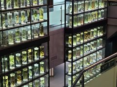 -广东中医药博物馆