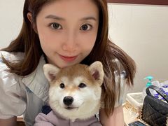 -逗柴咖啡屋·狗咖猫咖宠物桌游