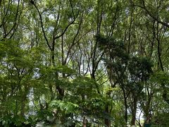 -昆山城市生态森林公园