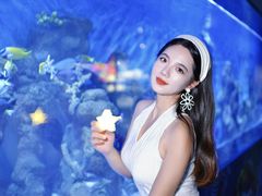 -重庆欢乐海底世界