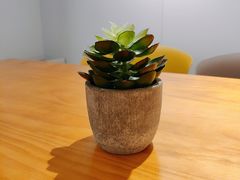 -CoCo都可(西湖文化广场店)