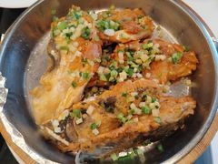 -金汇酒楼(中山东区店)