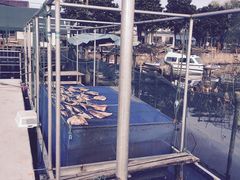 -渔娘蟹庄(阳澄湖莲花岛店)