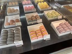 -大堂酒廊(澳门文华东方酒店)