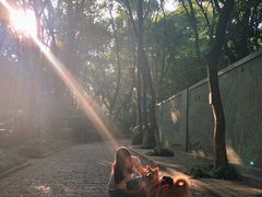 -杭州半山国家森林公园