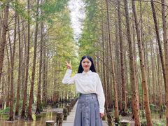 -桤木河湿地公园