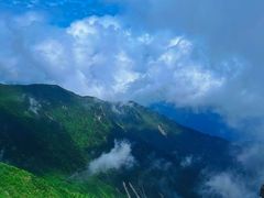 -秦岭风景区