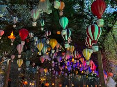 -郑州方特梦幻王国