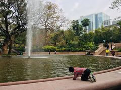 -九龙公园