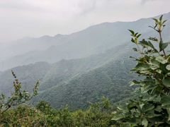 -北京鹫峰国家森林公园