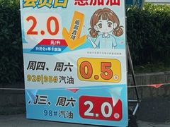 -中国石油加油站(严桥路站)