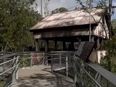 -新加坡飞禽公园