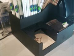 -瑞幸咖啡(新世界中心店)