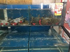 水产区-渔民船说·北塘海鲜·天津菜·海肠捞饭(北塘古镇店)