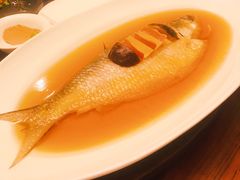 清蒸鰣鱼-乔家栅(襄阳南路店)