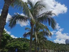 -港珠澳大桥(珠海段)