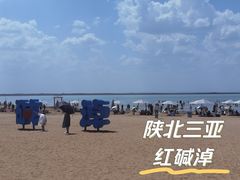 -红碱淖景区