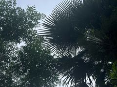 -特种渔场