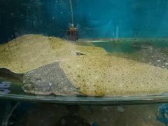 -聚德福海鲜家常菜(刘庄店)