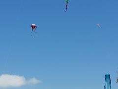 -春花秋色城市公园