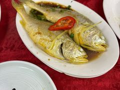 -蛇口康乐快餐鱼仔档(翠苑小区店)