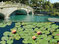 -溪岸路花鸟市场