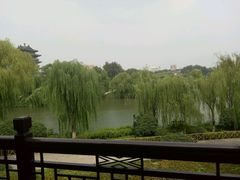 -鹊华居·地道鲁菜·海鲜·融合味(大明湖店)