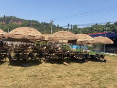 -桃源山庄·摘樱桃·柴火鸡·烧烤团建(龙泉山店)