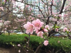 -青岛市图书馆