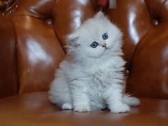 -NINES推理馆(曲江公馆店)